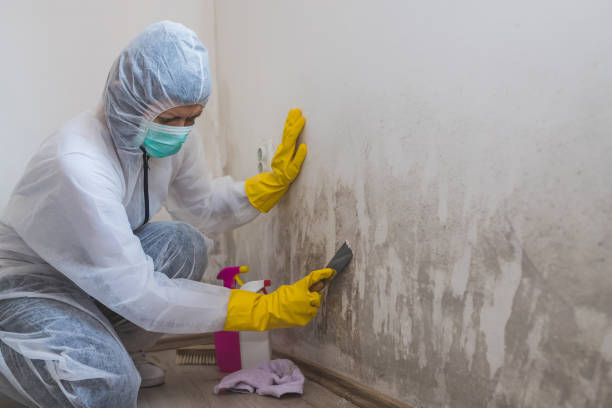 Best Biohazard Mold Removal  in Norwood, OK